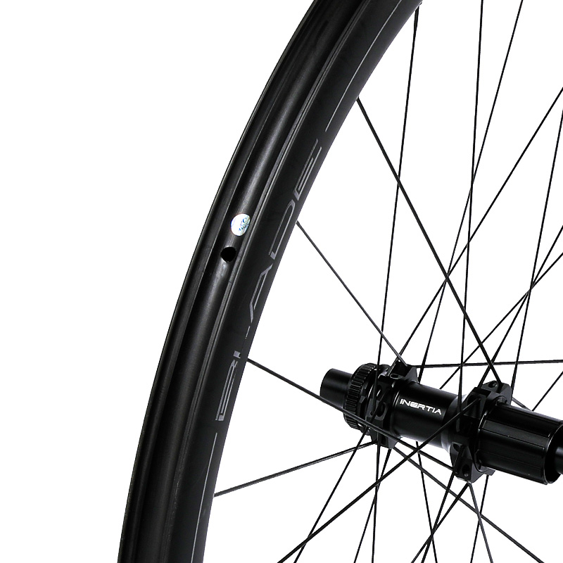 Inertia Wheels Pro Disc Brake C50